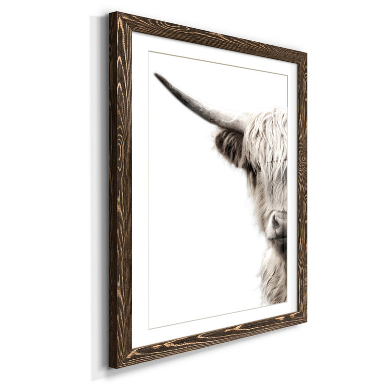 Bétail des Highlands - reproduction de photo, H 37,5 po x l 27,5 po x P 1,5 po, Papier, cadre noyer, Blanc
