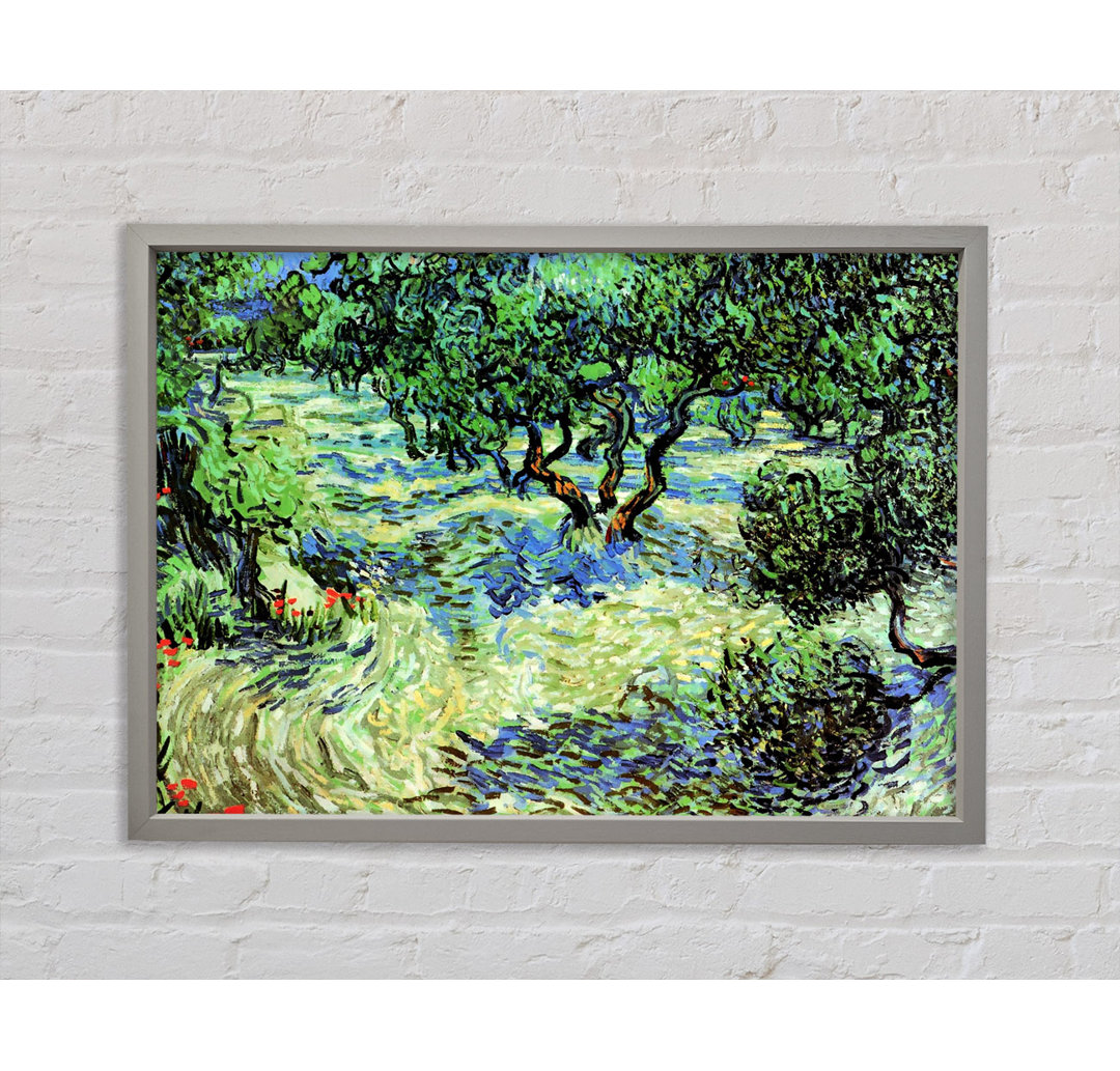 Olivenhain 2 von Vincent Van Gogh - Einzelner Bilderrahmen Kunstdrucke auf Leinwand