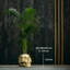Handmade Pot Planter-52454985