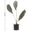 62.5cm Faux Elephant Ear Plant in Pot