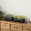Pot Planter