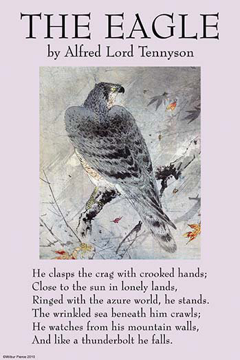 « the eagle » par alfred tennyson, affiche rétro, H 36 po x l 24 po