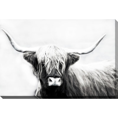 Highland Longhorn Canvas Wall Art