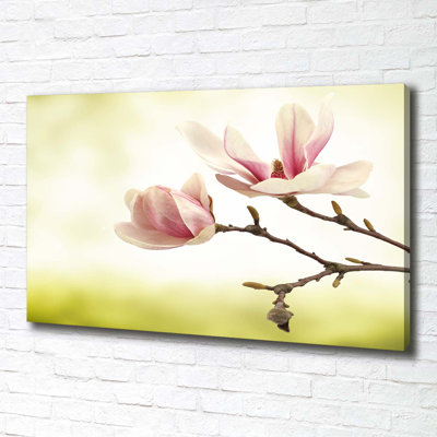 Magnolia - Wrapped Canvas Print