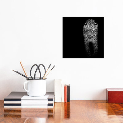Leopardn Black & White by Lukas Holas - Wrapped Canvas Gallery-Wrapped Canvas Giclée
