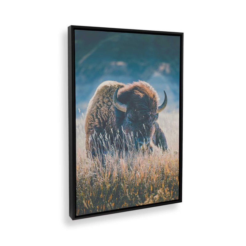 Murmures de la prairie, H 30,75 po x l 20,75 po, Noir satiné, Cadre flottant
