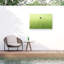 Arbre solitaire bolologien-98097307
