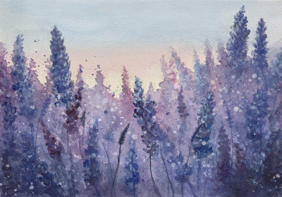 Wrapped Canvas Print, 81.28 cm H x 121.92 cm W