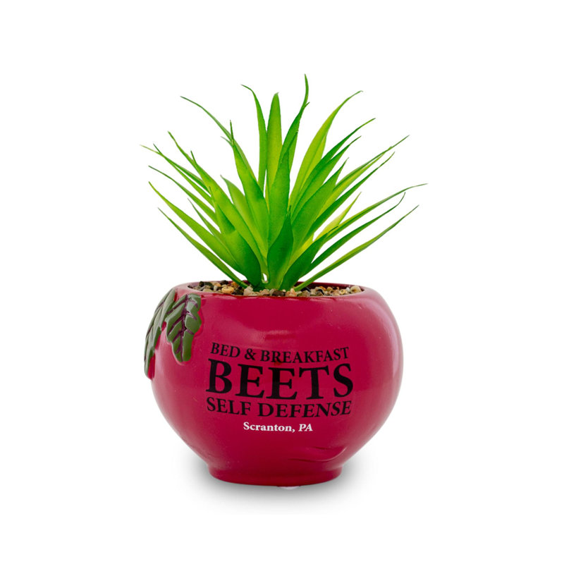 Plante grasse artificielle 7,5 po en pot