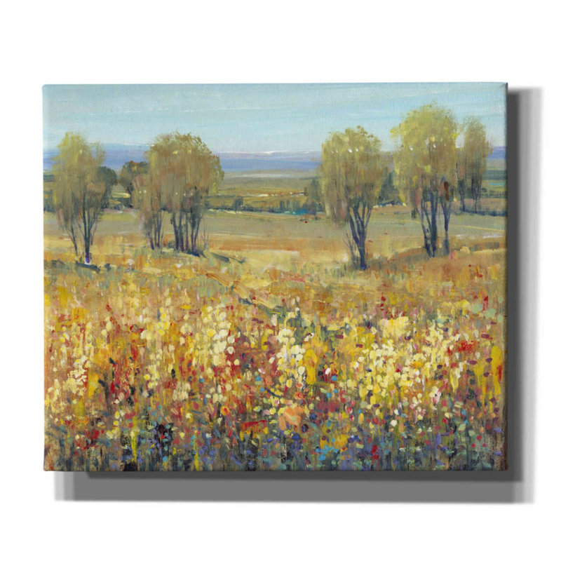 «Golden Fields II» par Tim O'toole, art mural sur toile, H 20 po x l 24 po x P 0,75 po