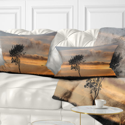 Throw Pillow