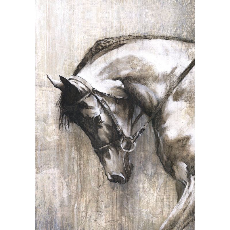 Majestic Hor REV - Wrapped Canvas Print, 30cm H x 46cm W x 3.8cm D