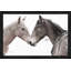 "Gentle Herd", reproduction sur acrylique-88120898