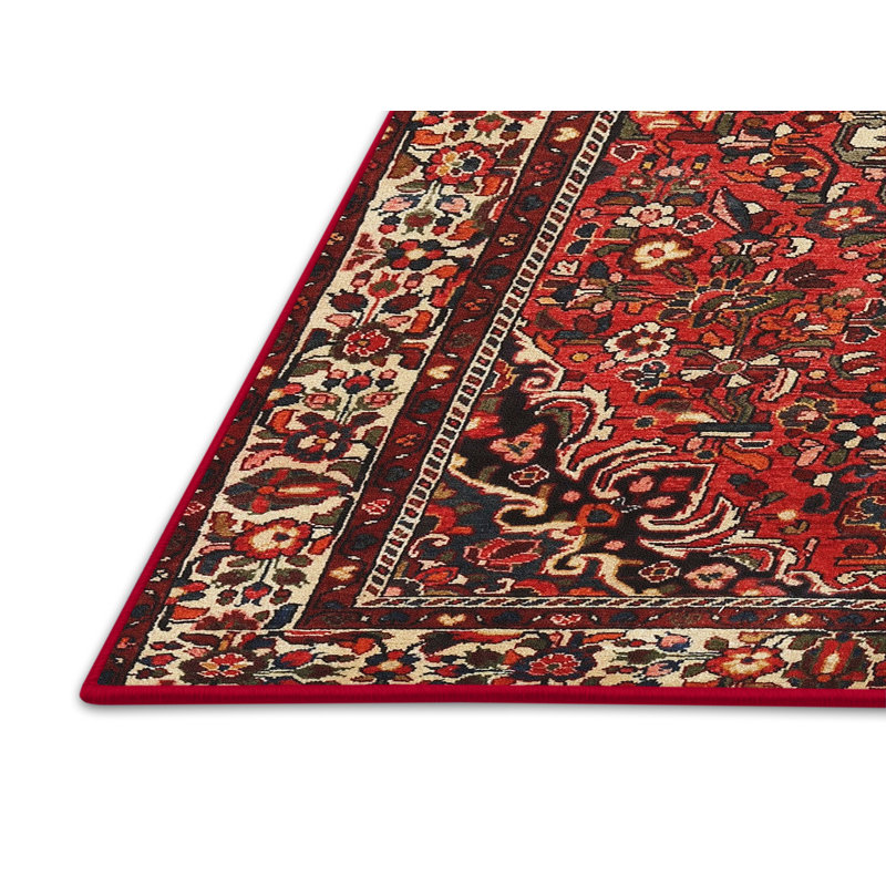 Tapis oriental Dannielle Mehroon / noir / crème, Rectangle 7 pi x 10 pi