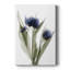 Xray tulipe, impression sur toile tendue-1590357745
