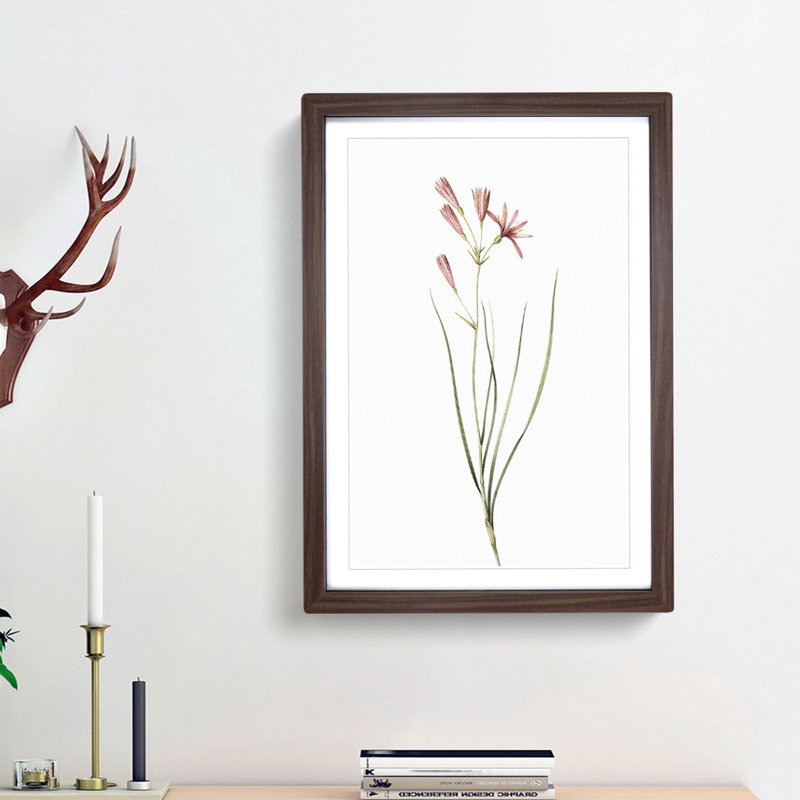 Amaryllis Flowers by Pierre-Joseph Redoute - Single Picture Frame Painting, 63cm H x 45cm W x 2cm D, Walnut Framed