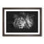 Lion With Piercing Eyes Paint Splash - Picture Frame Graphic Art-56865644-56865650