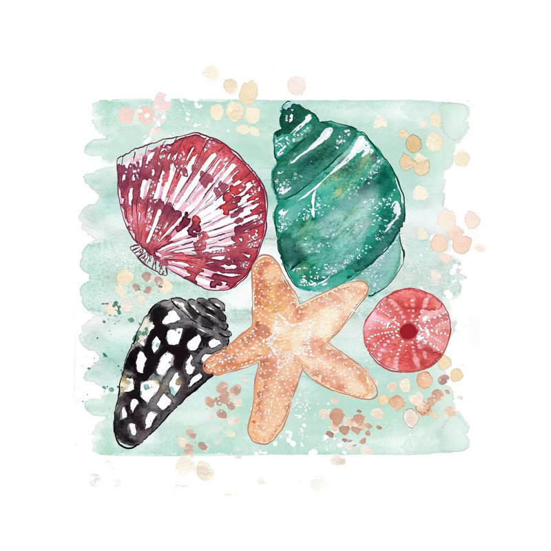 Beachcomber - Shell Medley by Sara Berrenson - Painting on Canvas, 30.48 cm H x 30.48 cm W, Wrapped Canvas