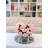 Hydrangea Arrangement in Vase-107098957