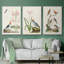Oiseaux antiques dans la nature IV, encadré sur toile, 3 pièces-91887543-91887541