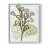 Coral Blockprint II  Framed Print - Solid Wood-1014640847-1014640833