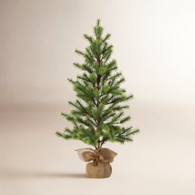 Shultz Faux Pine Tree in Wicker/Rattan Pot