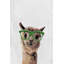«Sweetwood Glasses III», reproduction sur toile tendue-1396235934