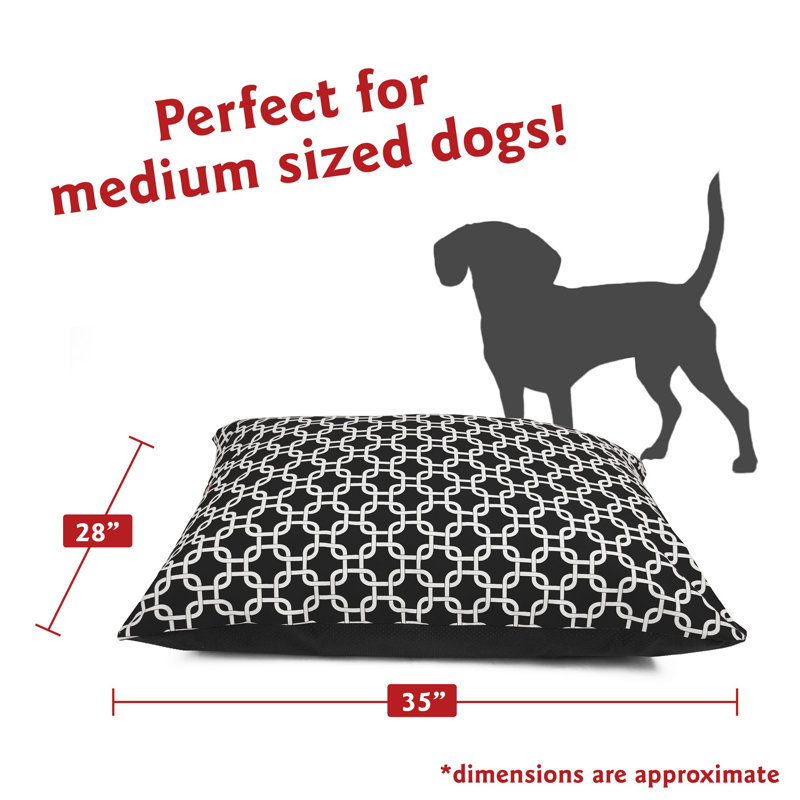 Coussin Super Value, Moyen (l 35 po x P 28 po x H 7 po), Noir