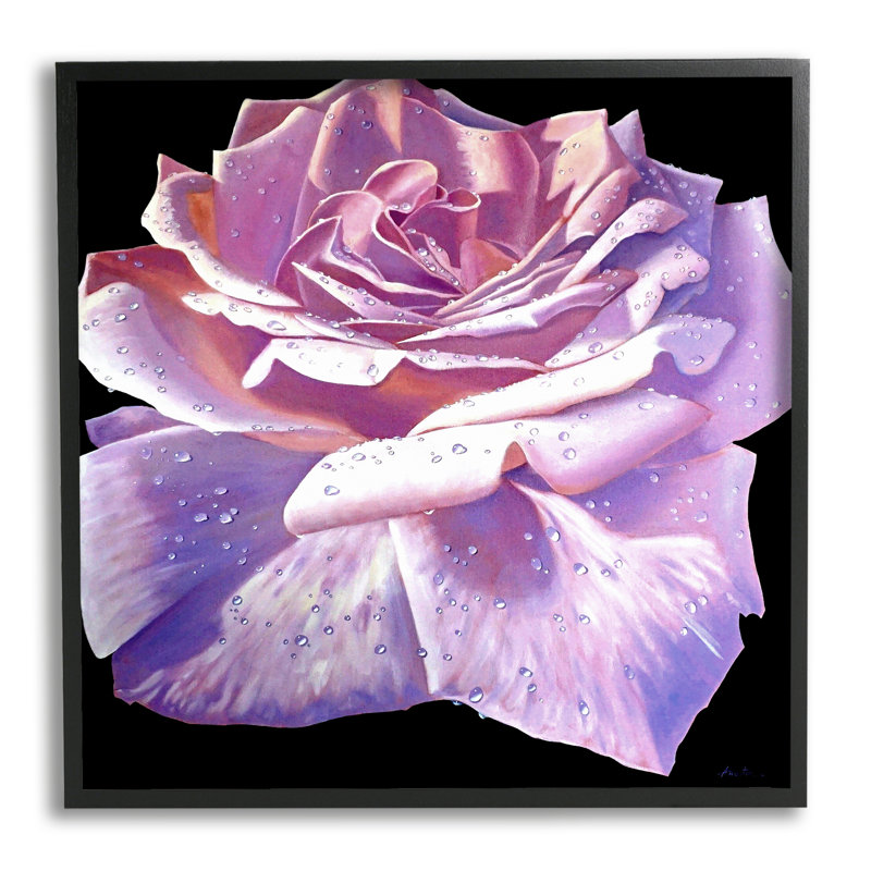 Pétales de rose luxuriants, Giclée encadrée noir minuit, H 12 po x l 12 po x P 1,5 po