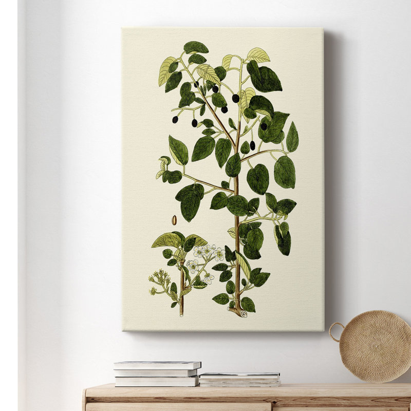 " Olive Greenery V " Painting Print, 48" H x 32" W x 1.5" D