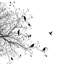 «Birds I», impression sur toile-21470668-71512945-71512949