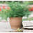 Carmer Pot Planter-1386181583-1386181571