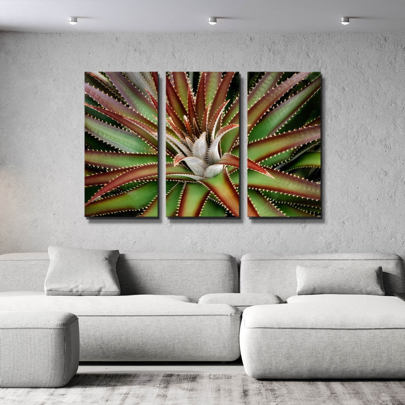 «Succulent VI» par Dennis Frates, art mural triptyque, 36 po x 24 po, 60 po x 40 po