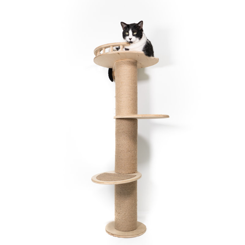 Daryanna Scratching Post
