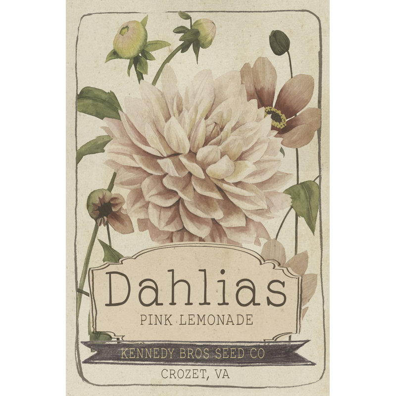 «Vintage Seed Packets IV» par Studio W - peinture sur toile tendue, H 36 po x l 24 po x P 1,25 po