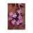 Desert Chicory Close Up Of Bloom, North America by Tim Fitzharris - Gallery-Wrapped Canvas Giclée on Canvas-2079052058-2079052059