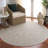 Reflection Performance Oriental Indoor Rug-479941860
