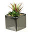Faux Echeveria Plant in Ceramic Planter