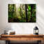 Forêt nationale d'El Yunque-1600144681-1600144680