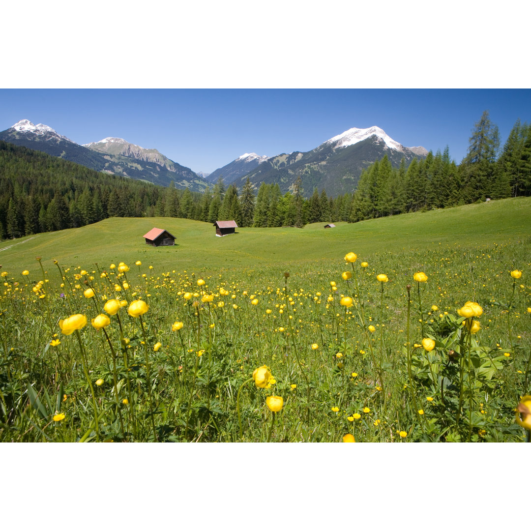 Tiroler Sommerwiese von Wingmar - Leinwandbild