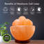 Lampe de sel 8 ibs Kemmer