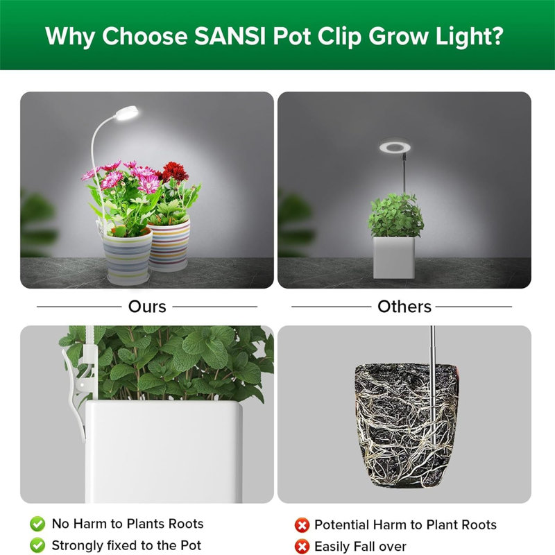 Naomi Grow Light