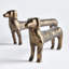 Connley Dogs-253624374
