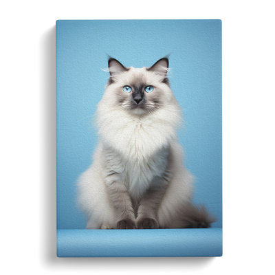Ragdoll Cat Minimalism No.3 - Wrapped Canvas
