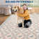Tapis lavable 8 x 10 po