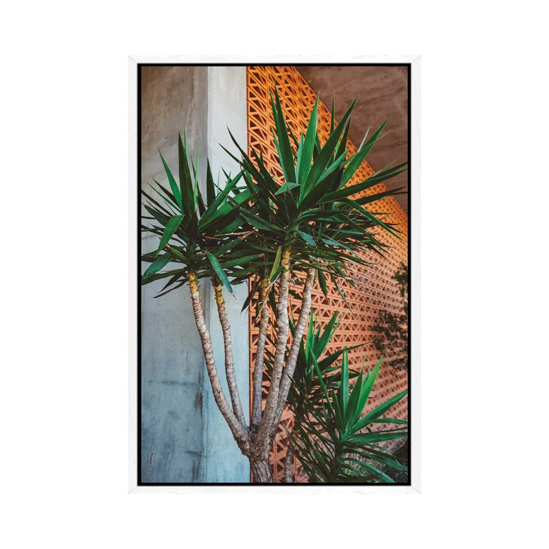 Hello, Goodbye by Bethany Young - Print on Canvas, White Framed, 101.6cm H x 66.04cm W x 3.81cm D