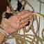 Customer photo 2 of 2