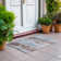 Machine Washable Indoor/Outdoor Claudian ACN1621 Mocha Rug