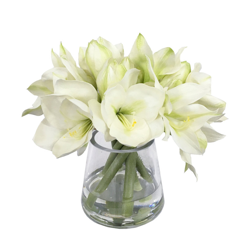 Amaryllis Centerpiece  in Vase