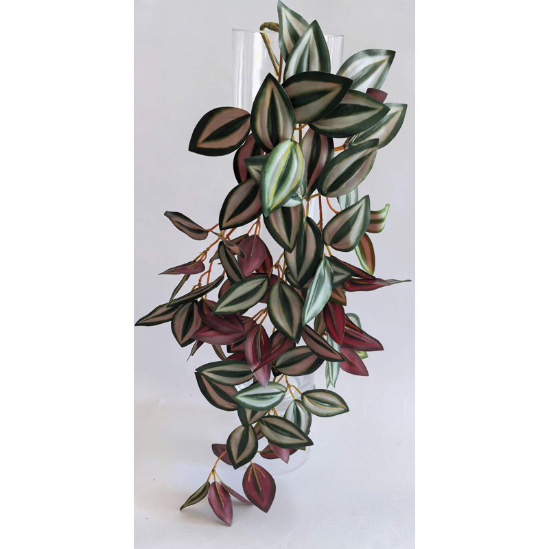 BOUQUET DE ZEBRINA 25'', Green